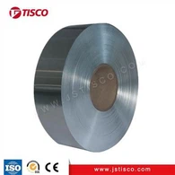 Hastelloy B2 Strip